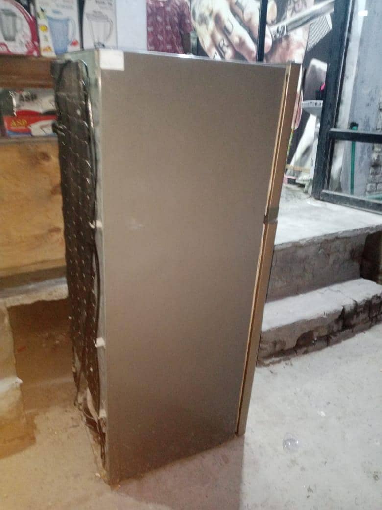 frige 1