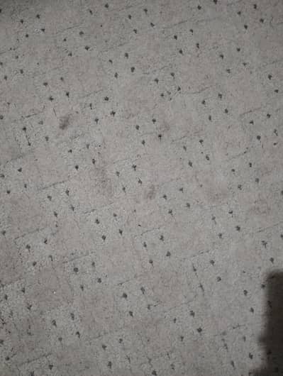 carpet for sale in good condition
