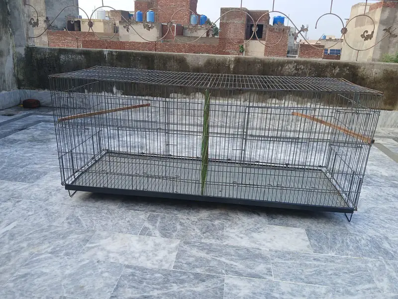 4by1.5 cage available 0/3/2/1/4/9/4/6/8/4/4 — photo 2