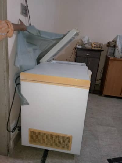 Freezer double Door