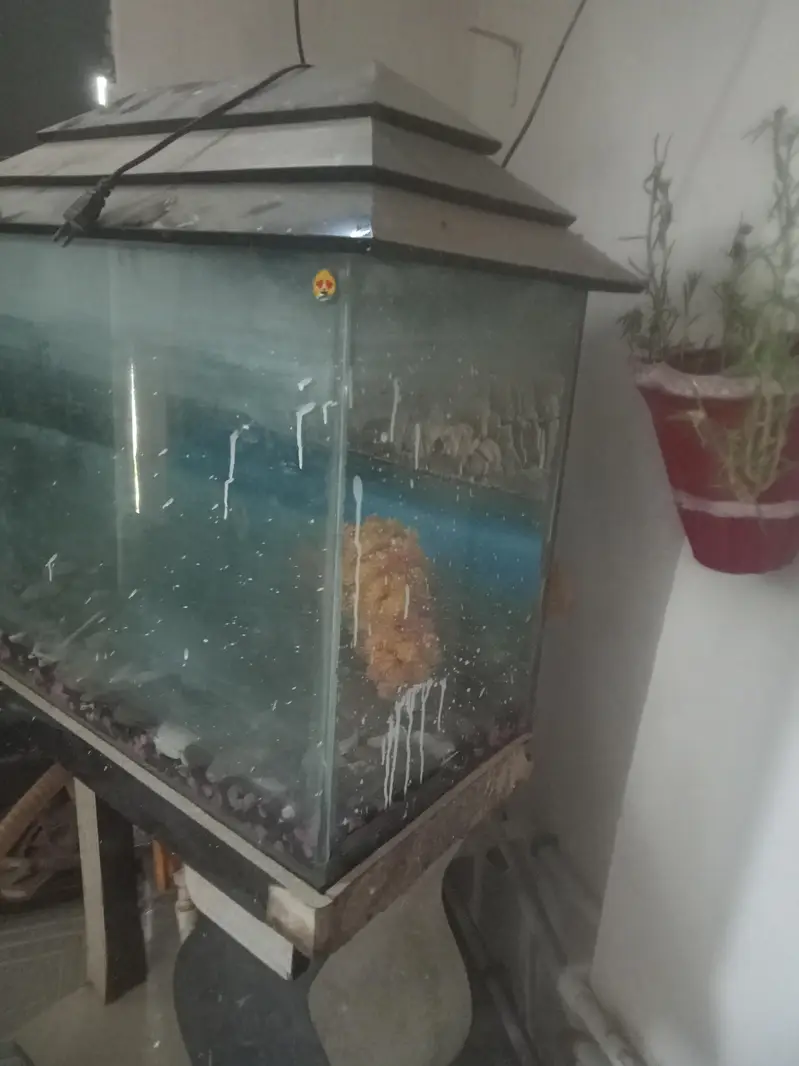 fish aquarium — photo 3