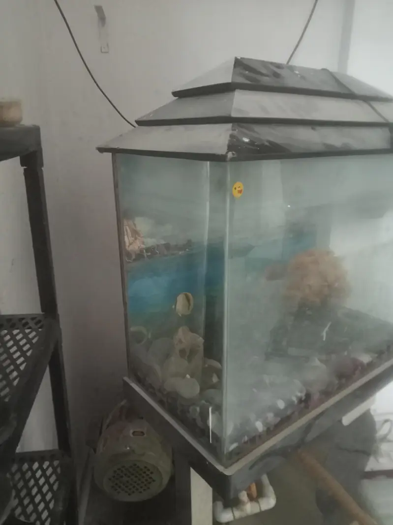 fish aquarium — photo 4