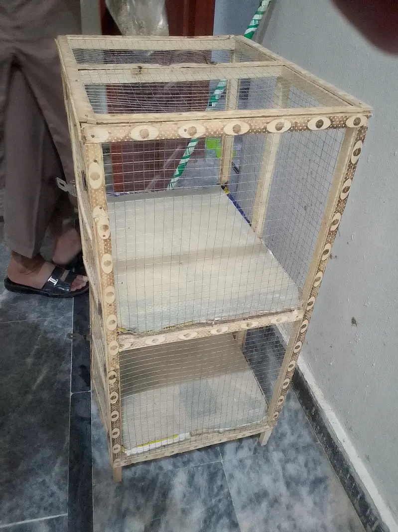 5 Chick's With Cage For Sale — photo 9