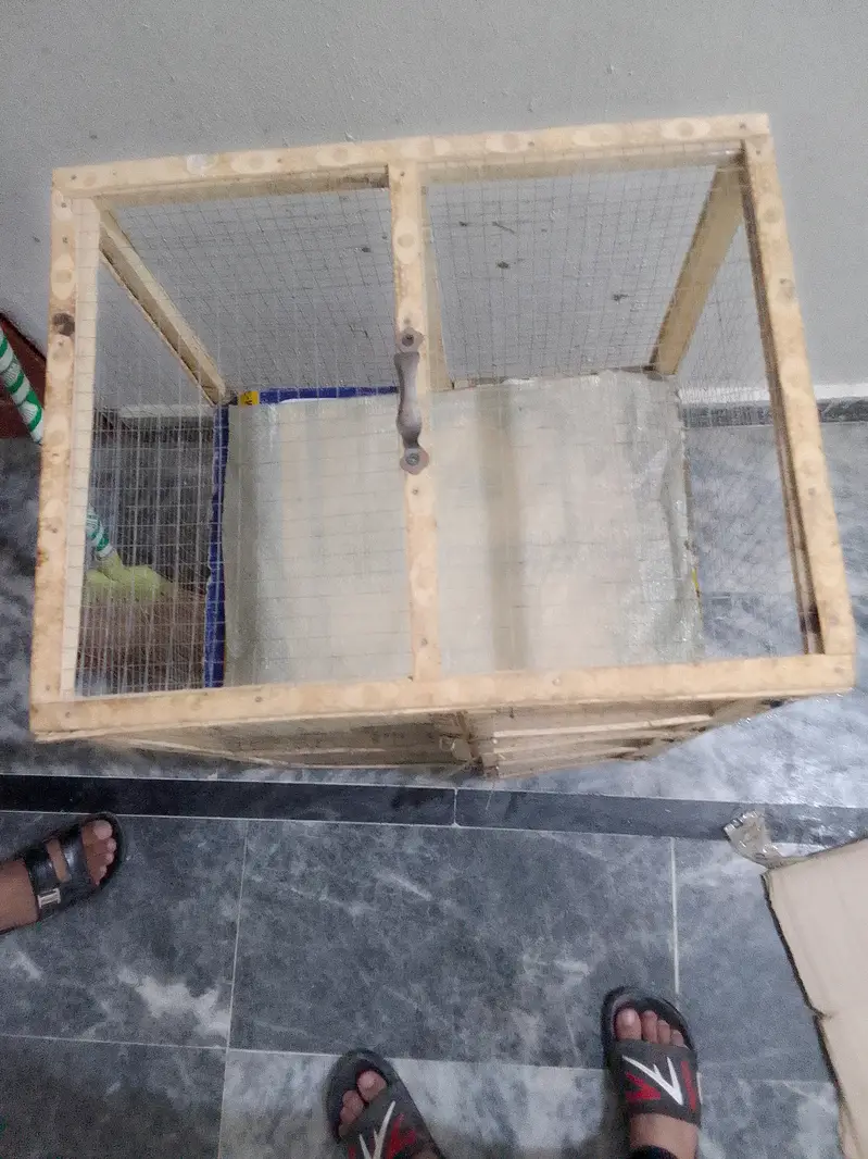 5 Chick's With Cage For Sale — photo 10