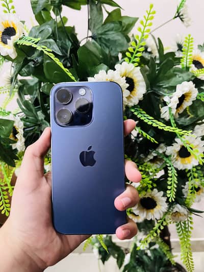 IPHONE 14 FU