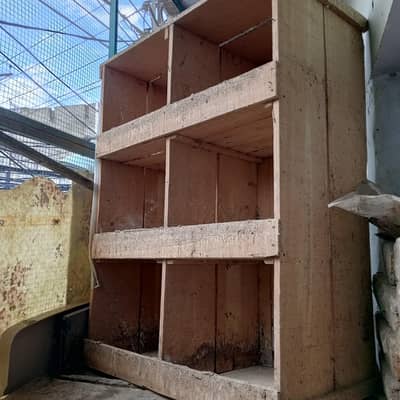 pigeon breeding box