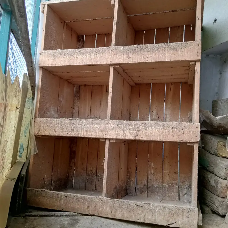pigeon breeding box — photo 2