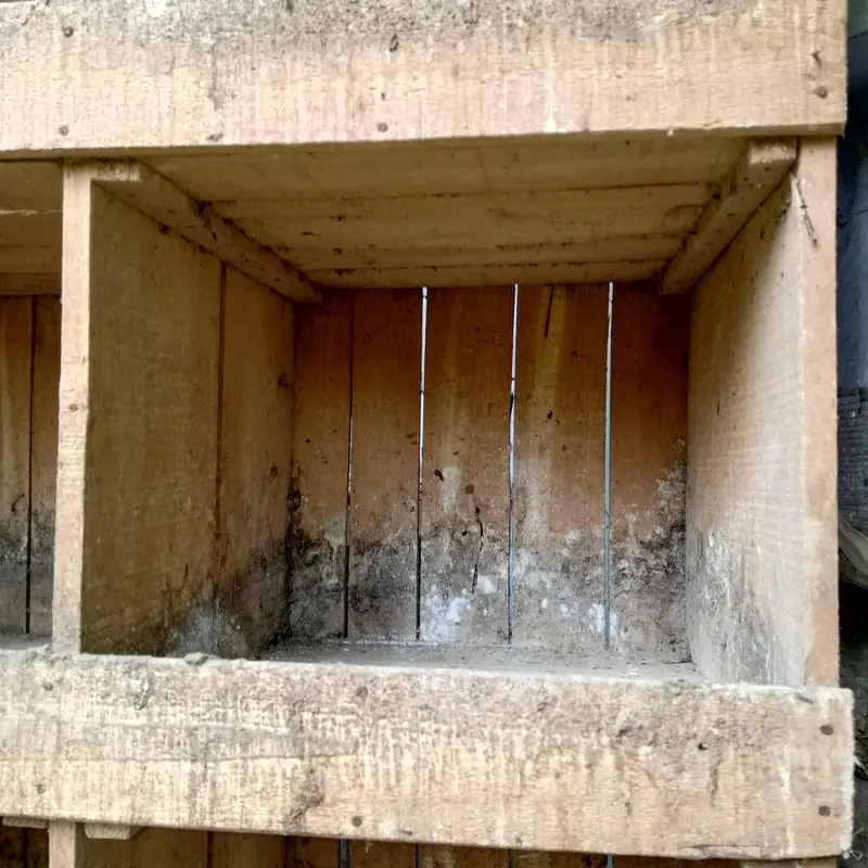 pigeon breeding box — photo 3