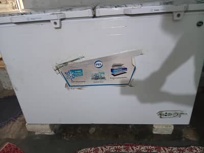freezer lena hai