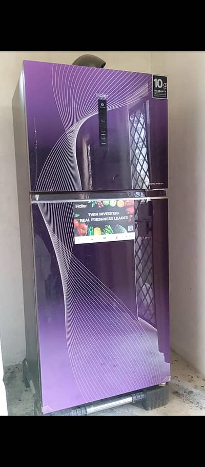 Haier Double Glass Door Fridge