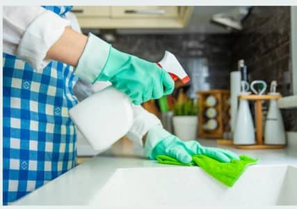Experienced house maid,