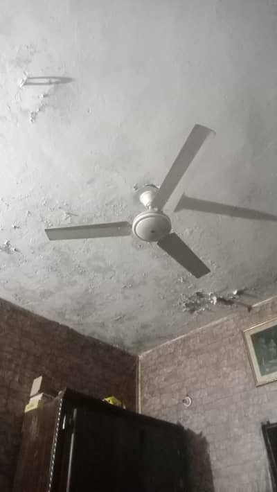selling fan