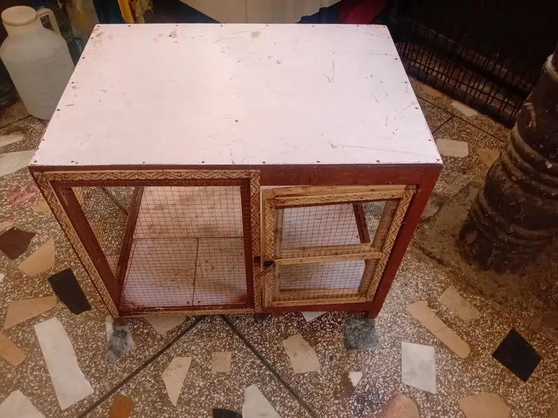 Wooden Cage — photo 4