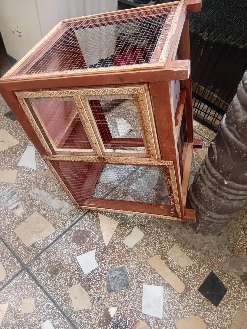 Wooden Cage — photo 5