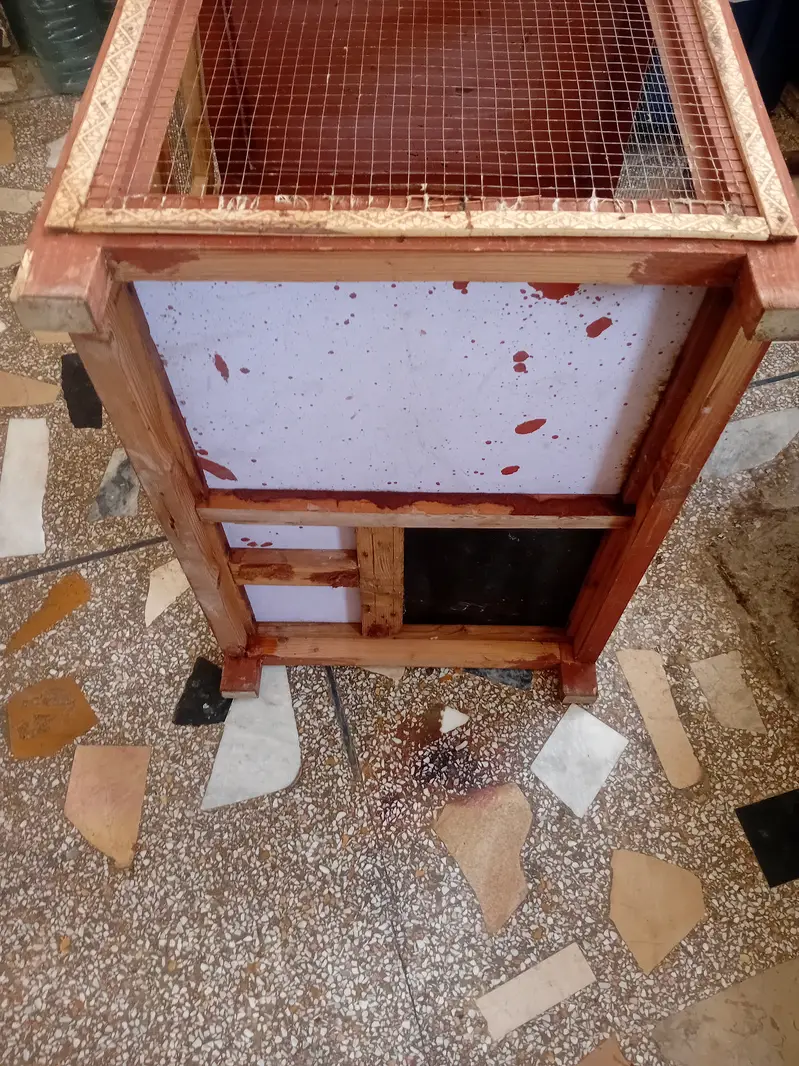 Wooden Cage — photo 6