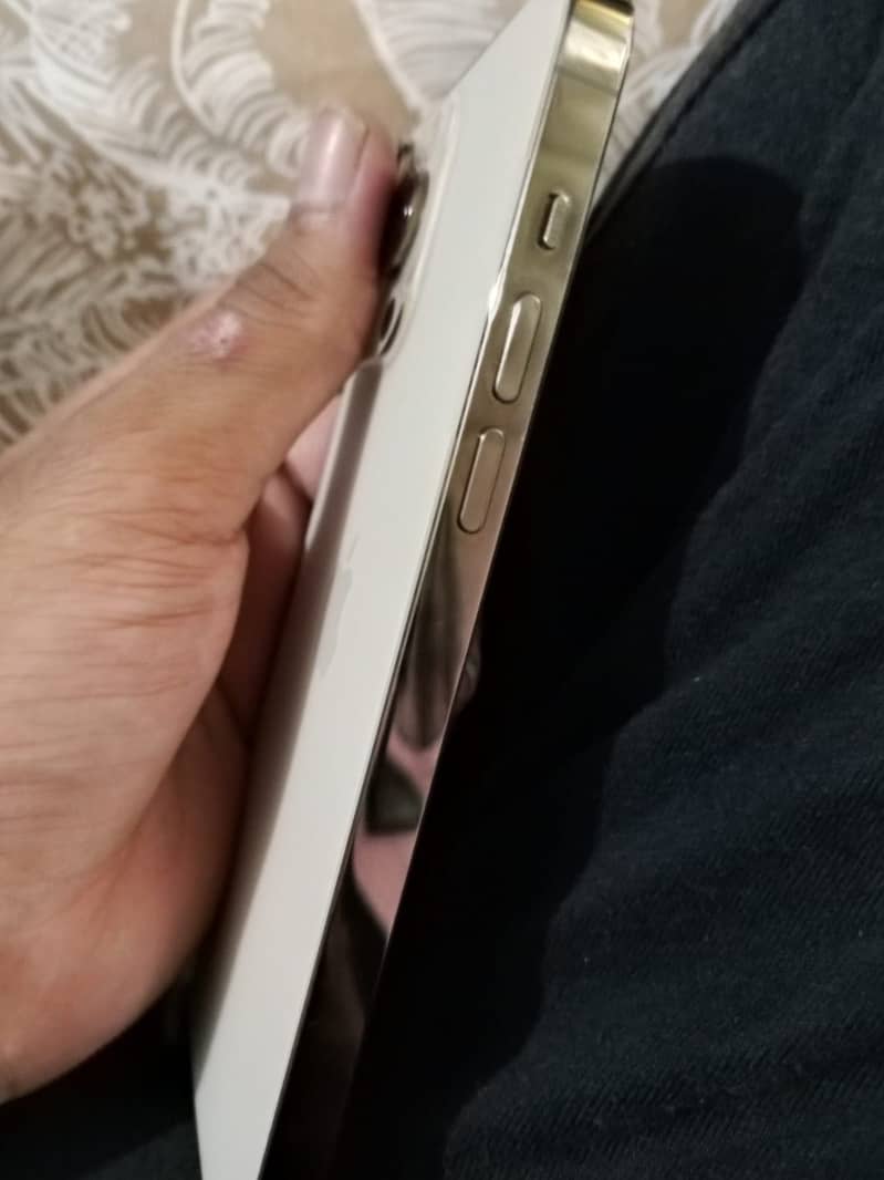 iphone 14 pro max 1