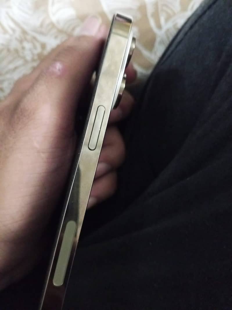 iphone 14 pro max 2