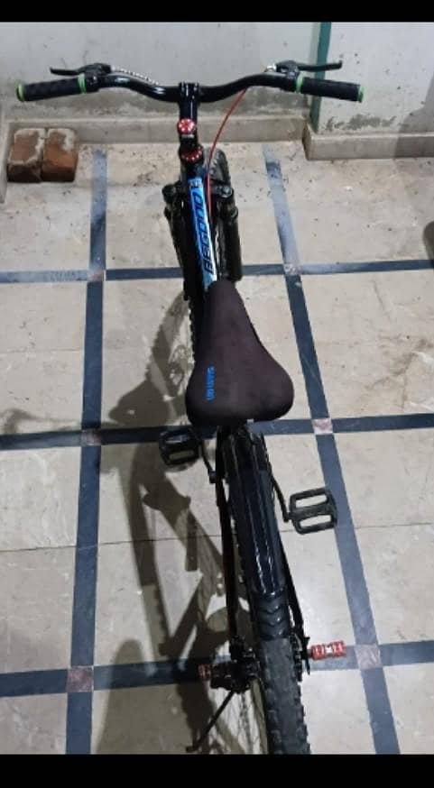 bycycle 1