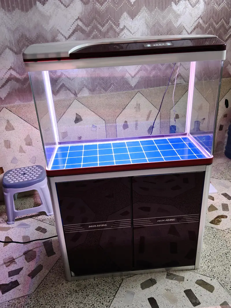 2.5feet imported aquarium fish tank — photo 2