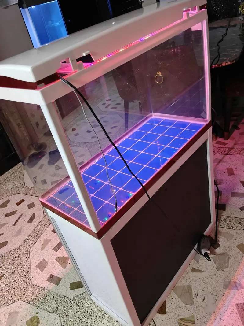 2.5feet imported aquarium fish tank — photo 5