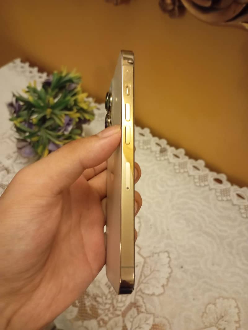iPhone 13 Pro 3