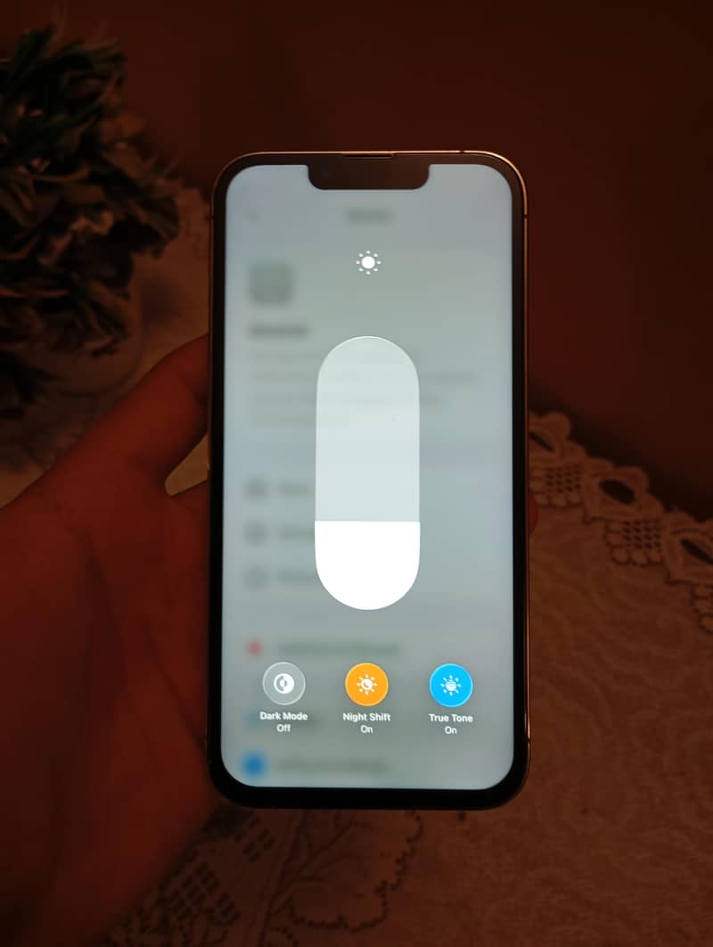 iPhone 13 Pro 5
