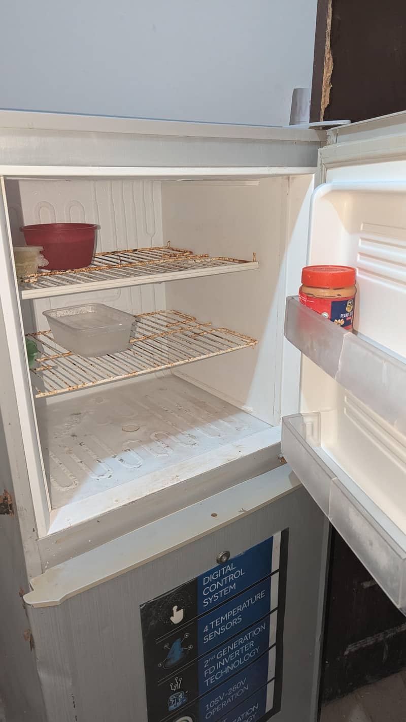 Pell small medium fridge 0