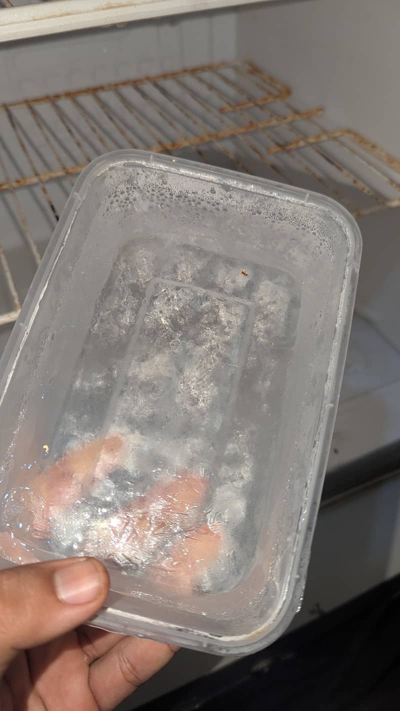 Pell small medium fridge 1