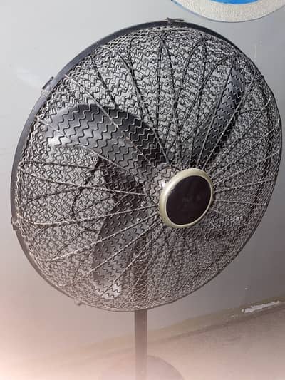 Pak Fan Pedestal Fan