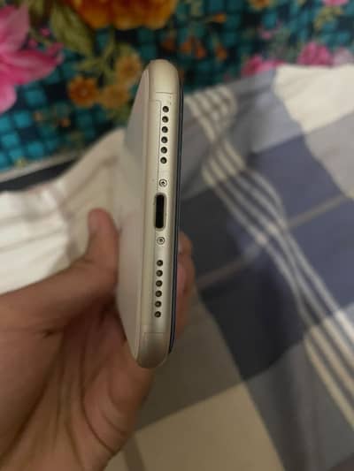 I phone 11