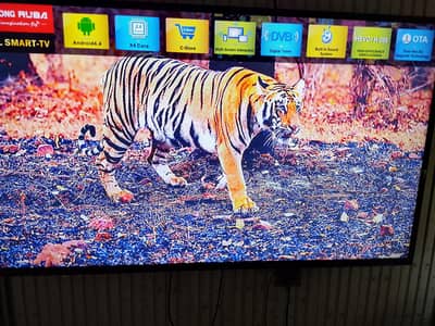 Chang Hung Ruba LCD 56Inch