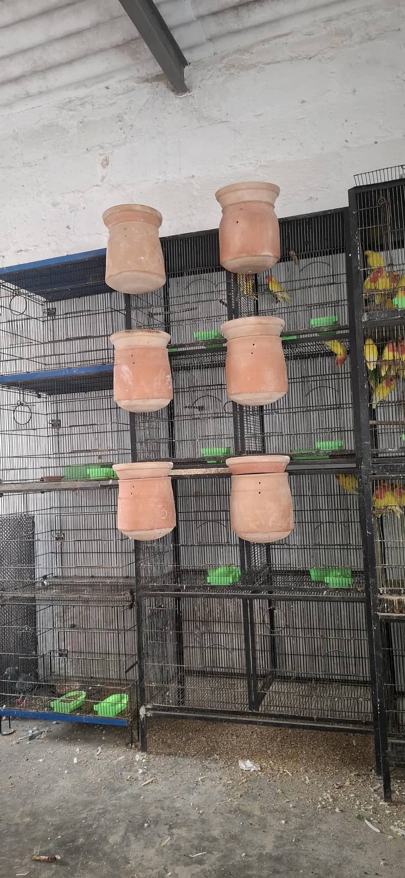 Master cage. 1