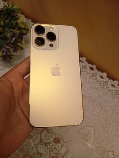 iPhone 13 Pro