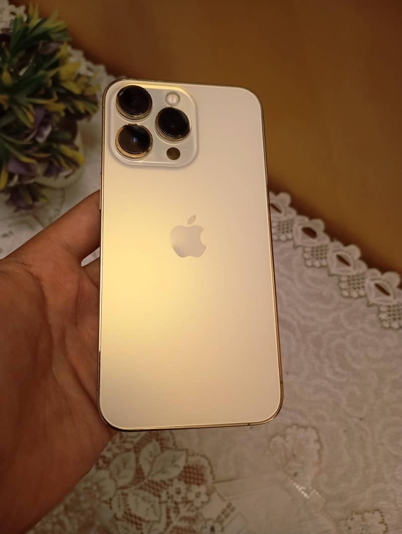 iPhone 13 Pro 0