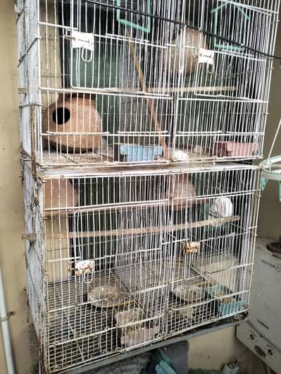 02 cages Available