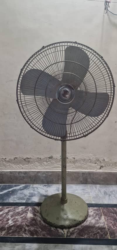 PakFans 24"