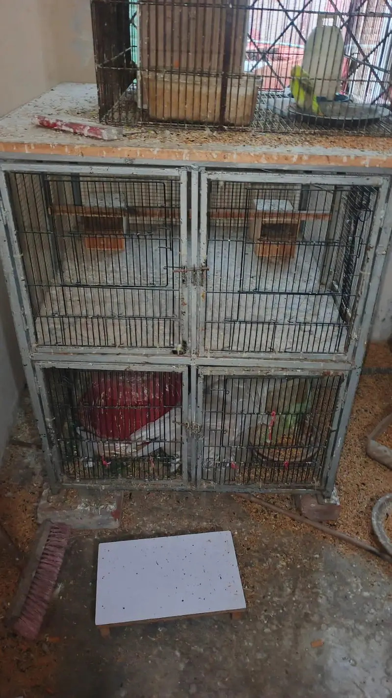 Top quality iron cage for sale sokeen bids hazrat ka lia solid chiz — photo 2