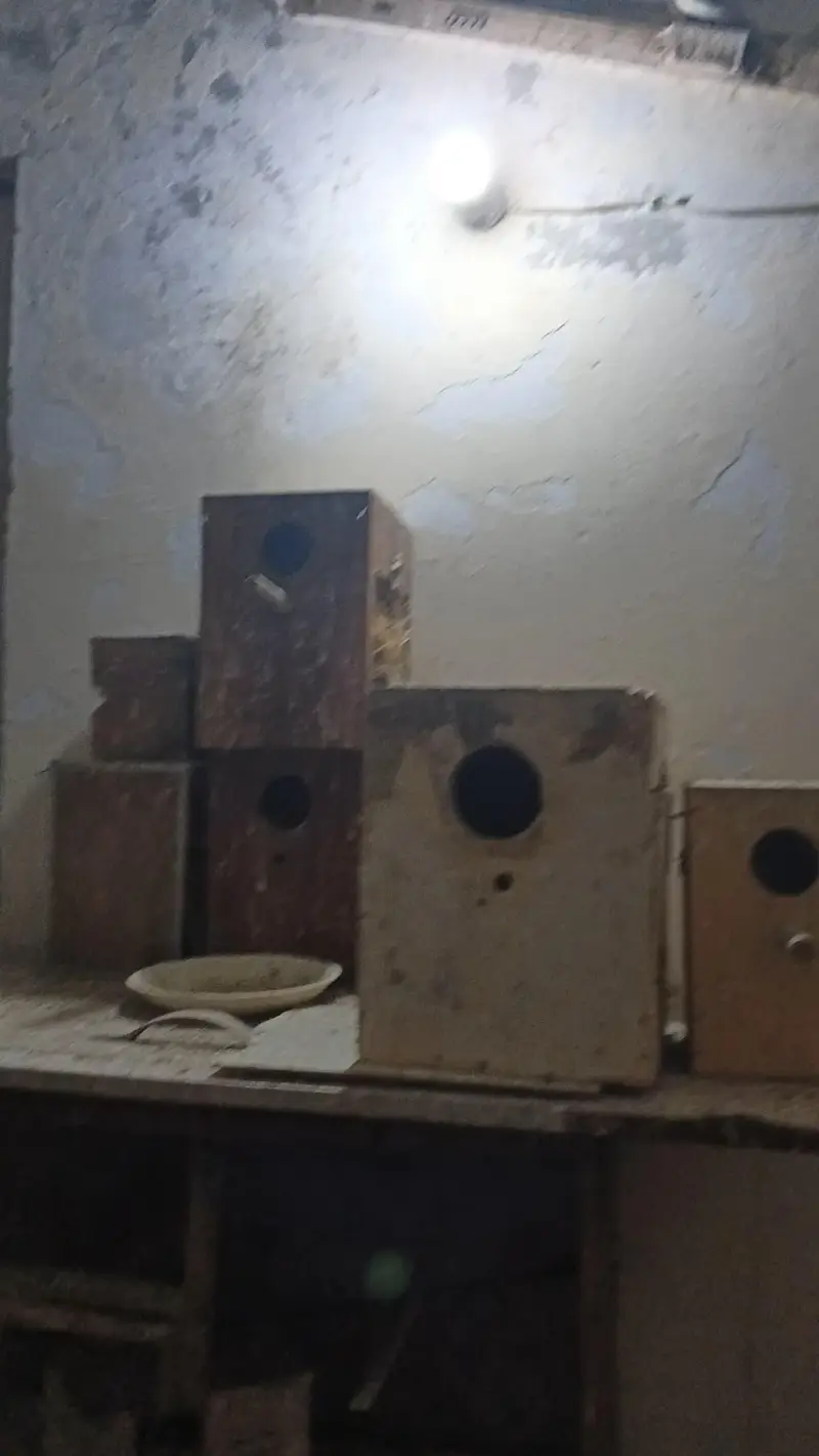 Top quality iron cage for sale sokeen bids hazrat ka lia solid chiz — photo 5