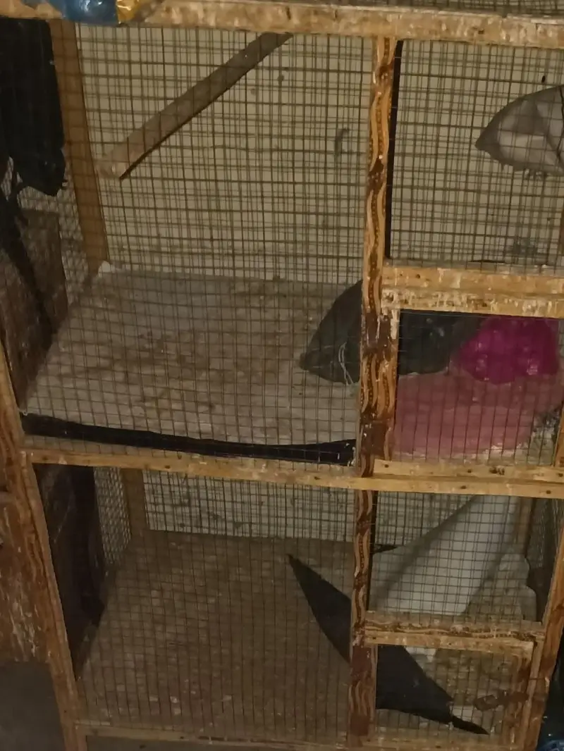 Top quality iron cage for sale sokeen bids hazrat ka lia solid chiz — photo 6