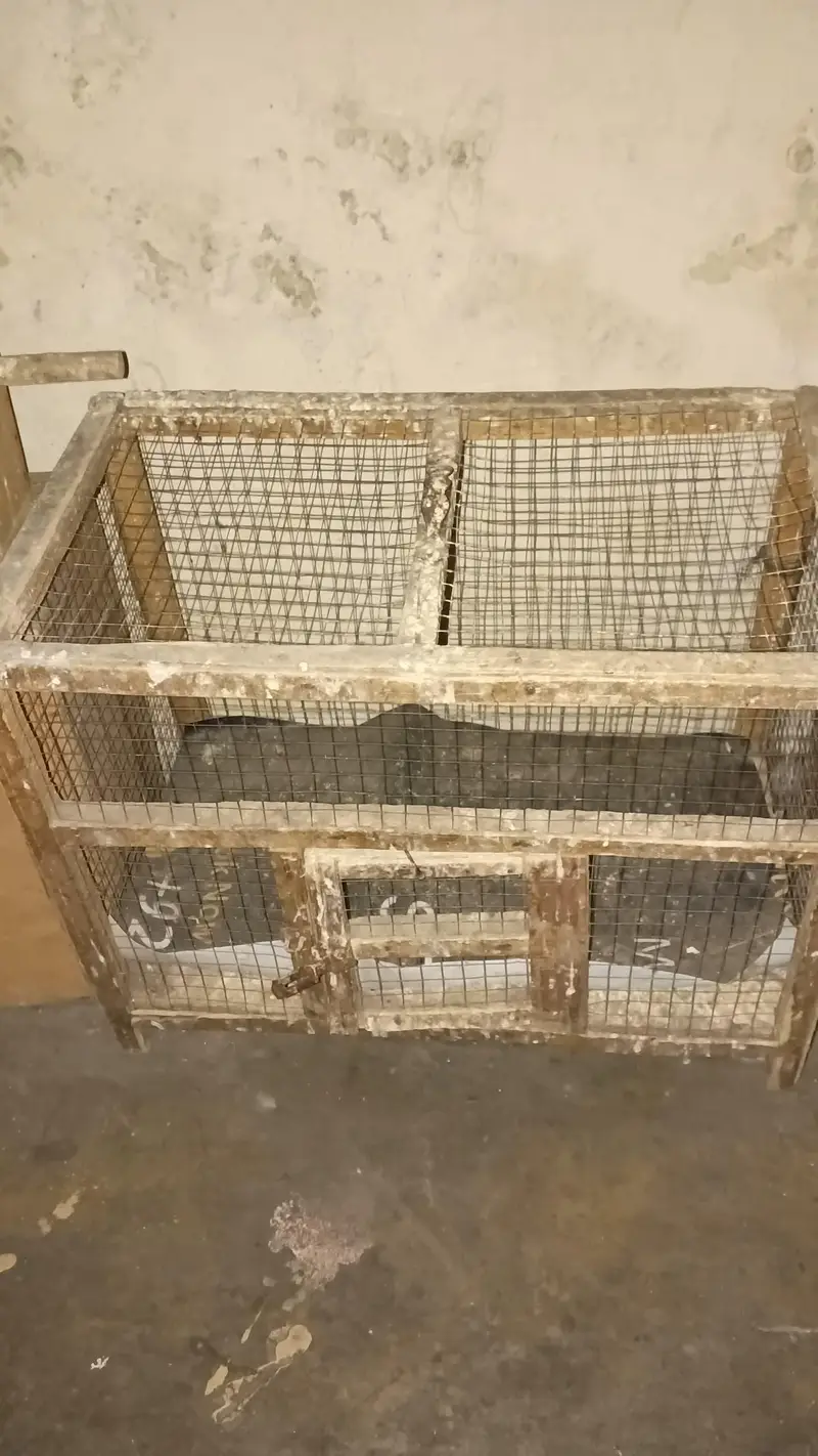 Top quality iron cage for sale sokeen bids hazrat ka lia solid chiz — photo 8