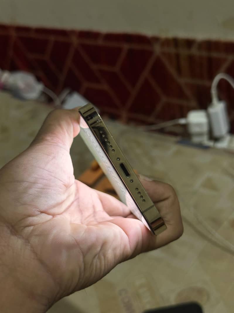 iPhone 12 pro max 9