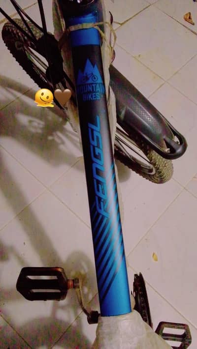 Mountain bicycle