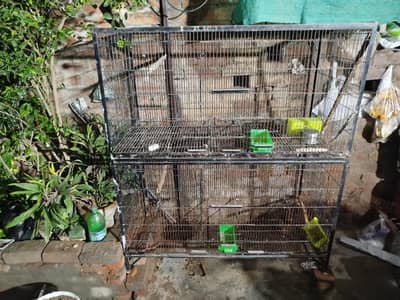 Cage for parrots , hens, Cates