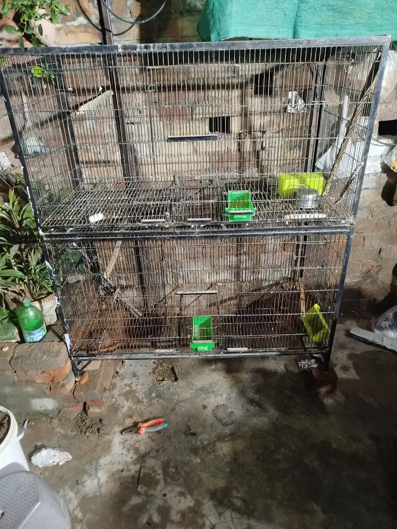 Cage for parrots , hens, Cates — photo 2