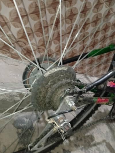 Bridgestone EX cycle 6 gear green color bicycle for sell
