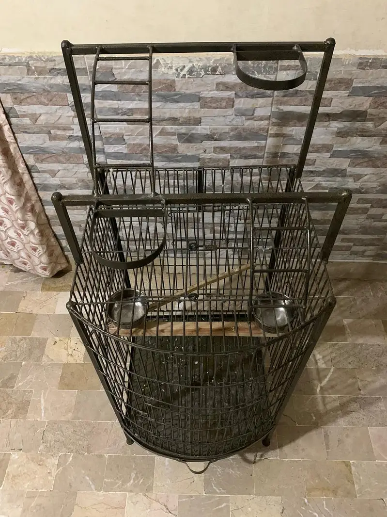 cages — photo 4