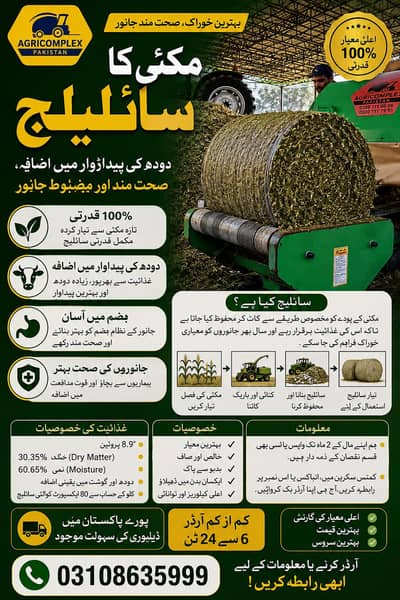 Silage Corn Silage | Animal Feed | Makai Silage | Corn Silage For Sale