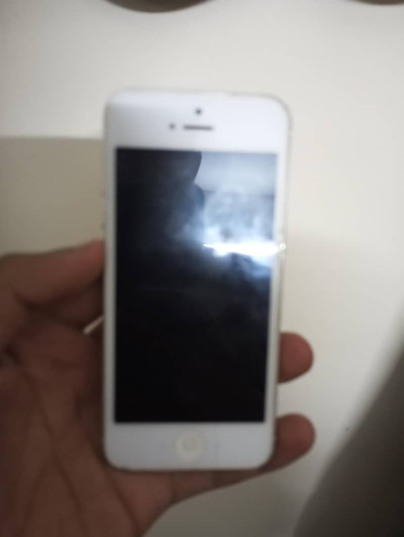 iPhone apple 5