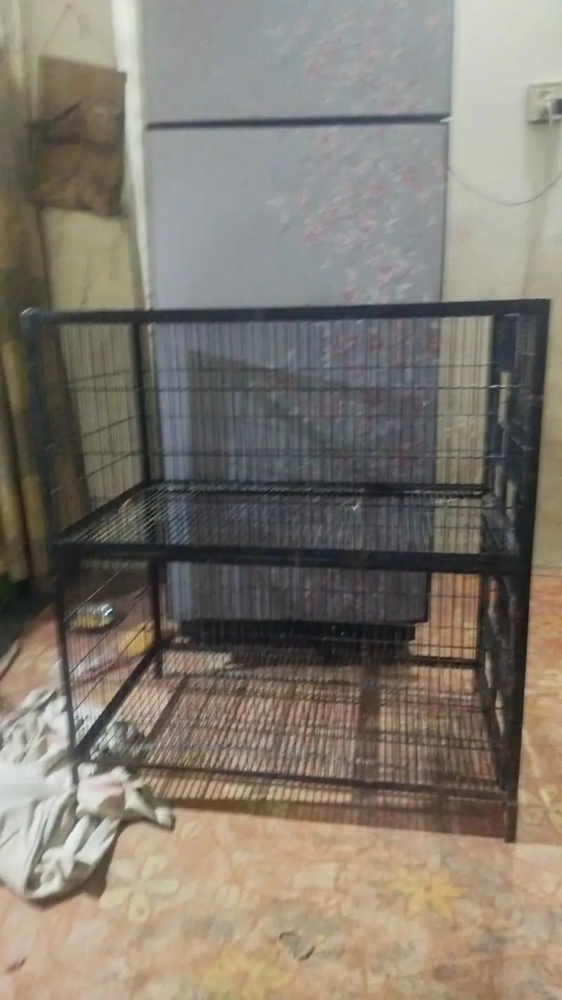bird cages double story 3 lenth 1.5 wigth 1.5 fut hight — photo 4