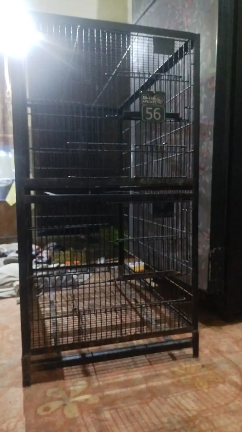 bird cages double story 3 lenth 1.5 wigth 1.5 fut hight — photo 6